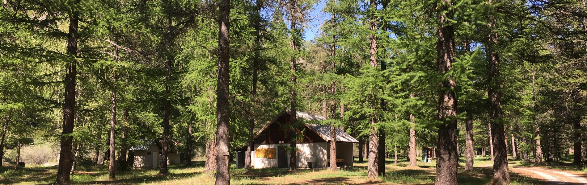 foret camping